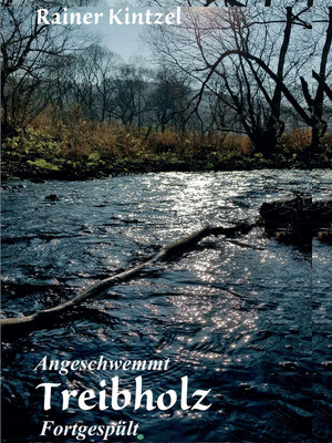cover image of Treibholz